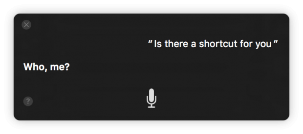 Die erste Frage, die wir uns stellten, was die Bedienung von Siri angeht. Eine Antwort gibt es nicht. (Screenshot: Golem.de)